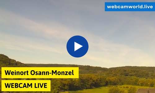 Weinort Osann-Monzel Webcam Aktuell Live
