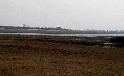 Chobe National Park Webcam Live