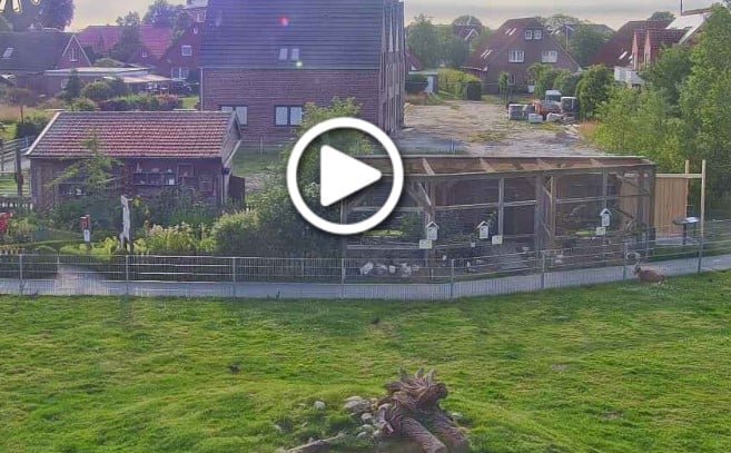 Haustierpark Werdum Webcam Aktuell Live