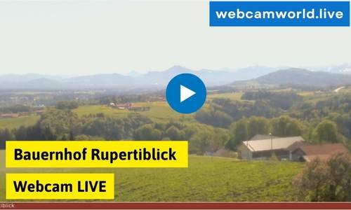 Bauernhof Rupertiblick Webcam Aktuell Live