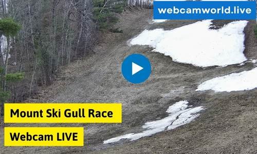 Mount Ski Gull Race Webcam Aktuell Live