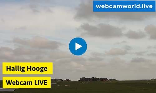 Hallig Hooge Webcam Aktuell Live