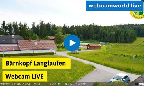 Bärnkopf Langlaufen Webcam Aktuell Live