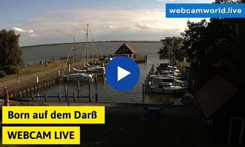 Born auf dem Darß Webcam Aktuell Live