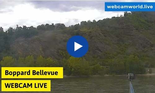 Webcam Boppard Bellevue Aktuell Live