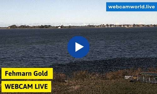 Fehmarn Gold Webcam Aktuell Live