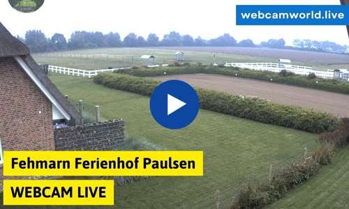 Fehmarn Ferienhof Paulsen Webcam Aktuell Live