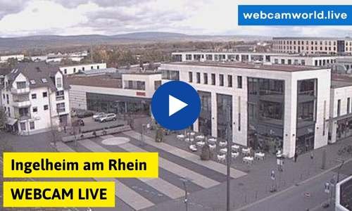 Ingelheim am Rhein Webcam Aktuell Live