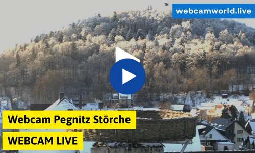 Webcam Pegnitz Störche Aktuell Live