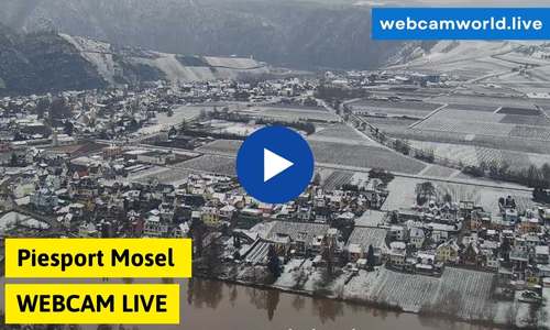 Webcam Piesport Mosel Aktuell Live