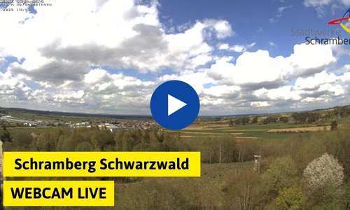 Webcam Schramberg Schwarzwald Aktuell Live