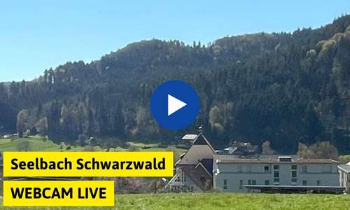 Webcam Seelbach Schwarzwald Panorama Live